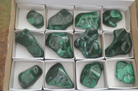 Polished Flower Banded Malachite Free Forms  x 12 From Congo - Toprock Gemstones and Minerals 