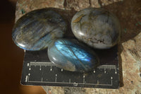 Polished  Flashy Labradorite Palm Stones  x 20 From Tulear, Madagascar