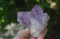 Natural Jacaranda Amethyst Clusters  x 6 From Mumbwa, Zambia - Toprock Gemstones and Minerals 