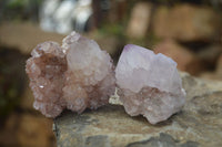 Natural Red Tinted Spirit Quartz Specimens x 12 From Boekenhouthoek, South Africa