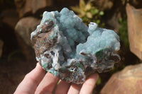 Natural Drusy Coated Ball Malachite On Dolomite Specimens  x 2 From Likasi, Congo