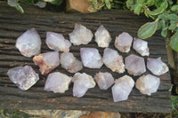 Natural Single Spirit Cactus Quartz Crystals  x 24 From Boekenhouthoek, South Africa - Toprock Gemstones and Minerals 