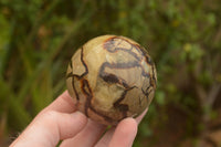 Polished Septarian (Calcite & Aragonite) Spheres  x 6 From Mahajanga, Madagascar - TopRock