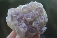 Natural Sugar Amethyst Clusters  x 6 From Zambia - Toprock Gemstones and Minerals 