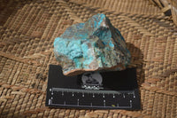 Natural Rough Shattuckite Cobbed Specimens x 12 From Kaokoveld, Namibia