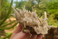 Natural Fluorescent Drusy Quartz Coated Dog Tooth Calcite Specimens x 6 From Alberts Mountain, Lesotho - TopRock