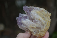 Natural Sugar Amethyst Clusters  x 6 From Zambia - Toprock Gemstones and Minerals 