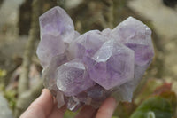 Natural Jacaranda Amethyst Clusters x 2 From Zambia