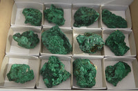 Natural Chatoyant Silky Malachite Specimens  x 12 From Kasompe, Congo