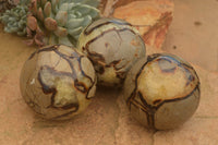 Polished Septarian (Calcite & Aragonite) Spheres  x 6 From Mahajanga, Madagascar - TopRock