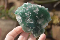 Polished One Side Polished Emerald Mtorolite Plates  x 12 From Zimbabwe