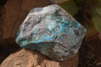 Natural Rough Shattuckite Cobbed Specimens x 12 From Kaokoveld, Namibia