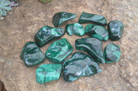 Polished Flower Banded Malachite Free Forms  x 12 From Congo - Toprock Gemstones and Minerals 