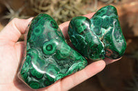 Polished Malachite Free Forms With Stunning Flower & Banding Patterns x 4 From Congo - TopRock