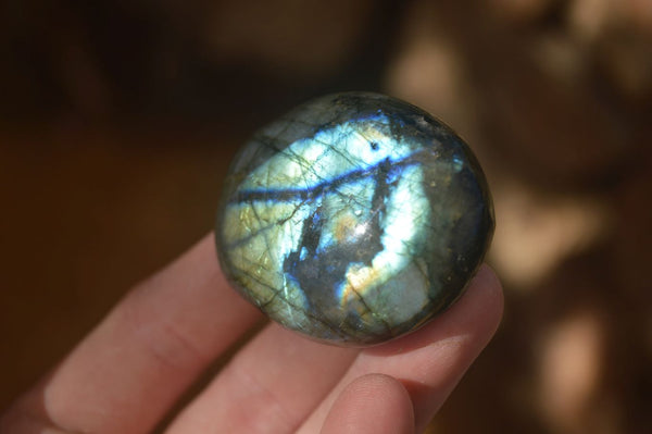 Polished  Flashy Labradorite Palm Stones  x 20 From Tulear, Madagascar