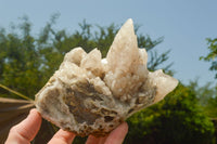 Natural Fluorescent Drusy Quartz Coated Dog Tooth Calcite Specimens x 6 From Alberts Mountain, Lesotho - TopRock