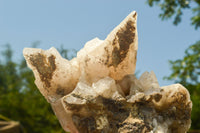 Natural Fluorescent Drusy Quartz Coated Dog Tooth Calcite Specimens x 6 From Alberts Mountain, Lesotho - TopRock