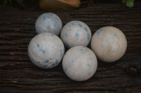 Polished Blue Spotted Spinel Quartz Spheres x 5 From Madagascar