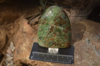 Polished Green Chrysoprase Standing Free Forms  x 4 From Madagascar