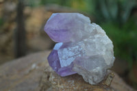 Natural Jacaranda Amethyst Clusters  x 6 From Mumbwa, Zambia - Toprock Gemstones and Minerals 