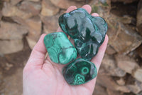 Polished Flower Banded Malachite Free Forms  x 12 From Congo - Toprock Gemstones and Minerals 