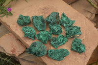 Natural Chatoyant Silky Malachite Specimens  x 12 From Kasompe, Congo