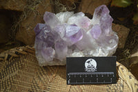 Natural Jacaranda Amethyst Clusters x 2 From Zambia