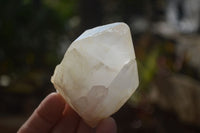 Natural Large Candle Quartz Crystals  x 12 From Madagascar