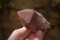 Natural Red Hematoid Quartz Specimens x 12 From Karoi, Zimbabwe