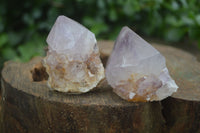 Natural Single Spirit Cactus Quartz Crystals  x 24 From Boekenhouthoek, South Africa - Toprock Gemstones and Minerals 