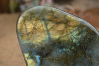 Polished Labradorite Standing Free Forms  x 2 From Tulear, Madagascar - TopRock