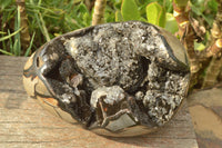 Polished Septerye Sauvage Dragons Egg With White Calcite Crystals On Black Crystalized Calcite x 1 From Mahajanga, Madagascar - TopRock