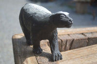 Polished Groovy Black & White Soapstone Honey Badger Carving  x 1 From Zimbabwe - Toprock Gemstones and Minerals 