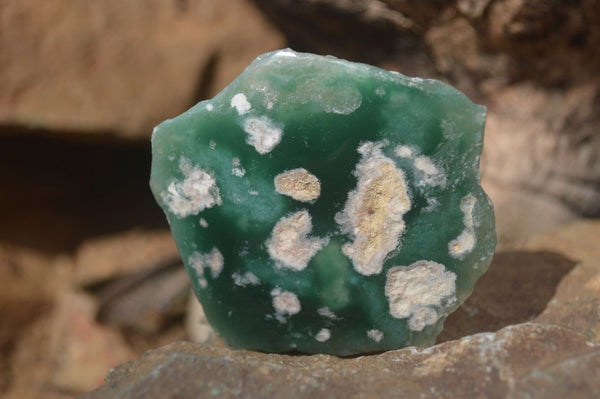 Polished One Side Polished Emerald Mtorolite Plates  x 12 From Zimbabwe