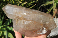 Natural Triple Terminated Arcadian Angola Quartz Crystal x 1 From Angola - TopRock