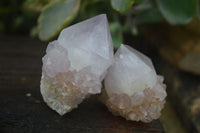 Natural Single Spirit Cactus Quartz Crystals  x 24 From Boekenhouthoek, South Africa - Toprock Gemstones and Minerals 