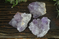 Natural Jacaranda Amethyst Clusters  x 3 From Mumbwa, Zambia - Toprock Gemstones and Minerals 