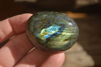 Polished  Flashy Labradorite Palm Stones  x 20 From Tulear, Madagascar