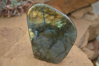 Polished Labradorite Standing Free Forms  x 2 From Tulear, Madagascar - TopRock