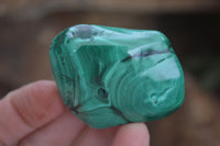 Polished Flower Banded Malachite Free Forms  x 12 From Congo - Toprock Gemstones and Minerals 