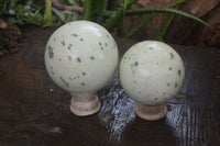 Polished Spotted Leopard Stone Spheres  x 2 From Zimbabwe - Toprock Gemstones and Minerals 