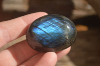 Polished  Flashy Labradorite Palm Stones  x 20 From Tulear, Madagascar