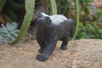 Polished Groovy Black & White Soapstone Honey Badger Carving  x 1 From Zimbabwe - Toprock Gemstones and Minerals 