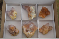 Natural Mixed Spirit Quartz Specimens  x 6 From Boekenhouthoek, South Africa - Toprock Gemstones and Minerals 