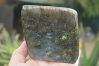 Polished Labradorite Standing Free Forms  x 2 From Tulear, Madagascar - TopRock