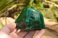 Polished Malachite Free Forms With Stunning Flower & Banding Patterns x 4 From Congo - TopRock