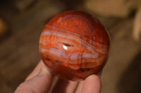 Polished  Carnelian Agate Spheres  x 3 From Madagascar