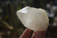 Natural Large Candle Quartz Crystals  x 12 From Madagascar