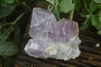 Natural Jacaranda Amethyst Clusters  x 3 From Mumbwa, Zambia - Toprock Gemstones and Minerals 