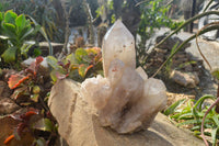 Polished XXL Clear Smokey Quartz Cluster x 1 From Angola